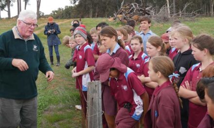 Tree-Planting at Bannister 2020