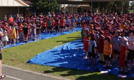 Harmony Day Celebrations