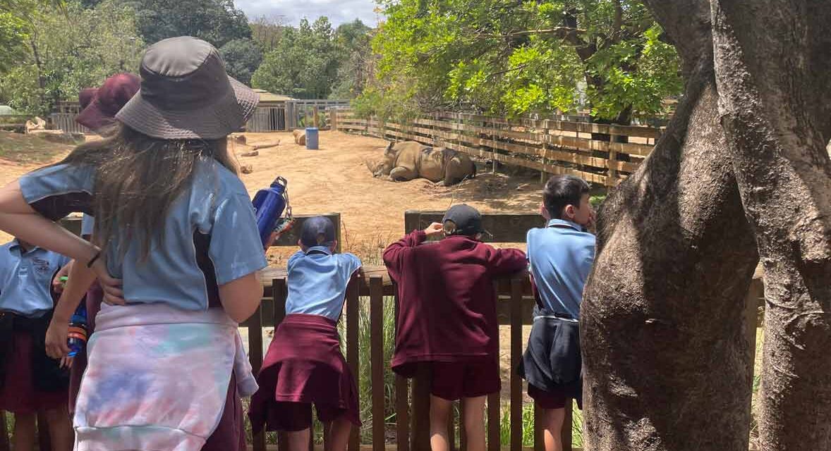 Year 4 Zoo Camp