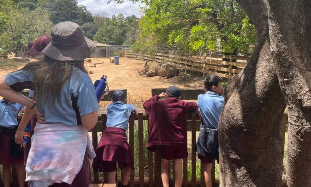 Year 4 Zoo Camp