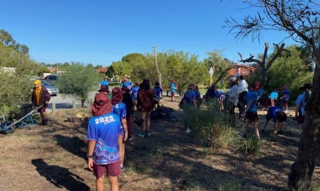 Festival of Perth Epoch Project