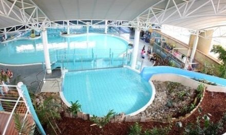 2026 In-Term Swimming Yr 4 -Yr 6 Schedule