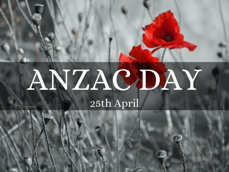 The Last Anzac (Lyrics)